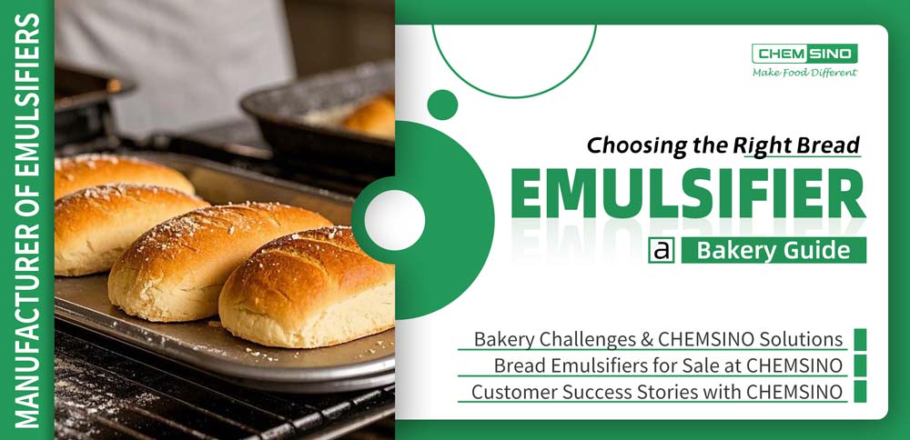 Choosing the Right Bread Emulsifier: A Bakery Guide